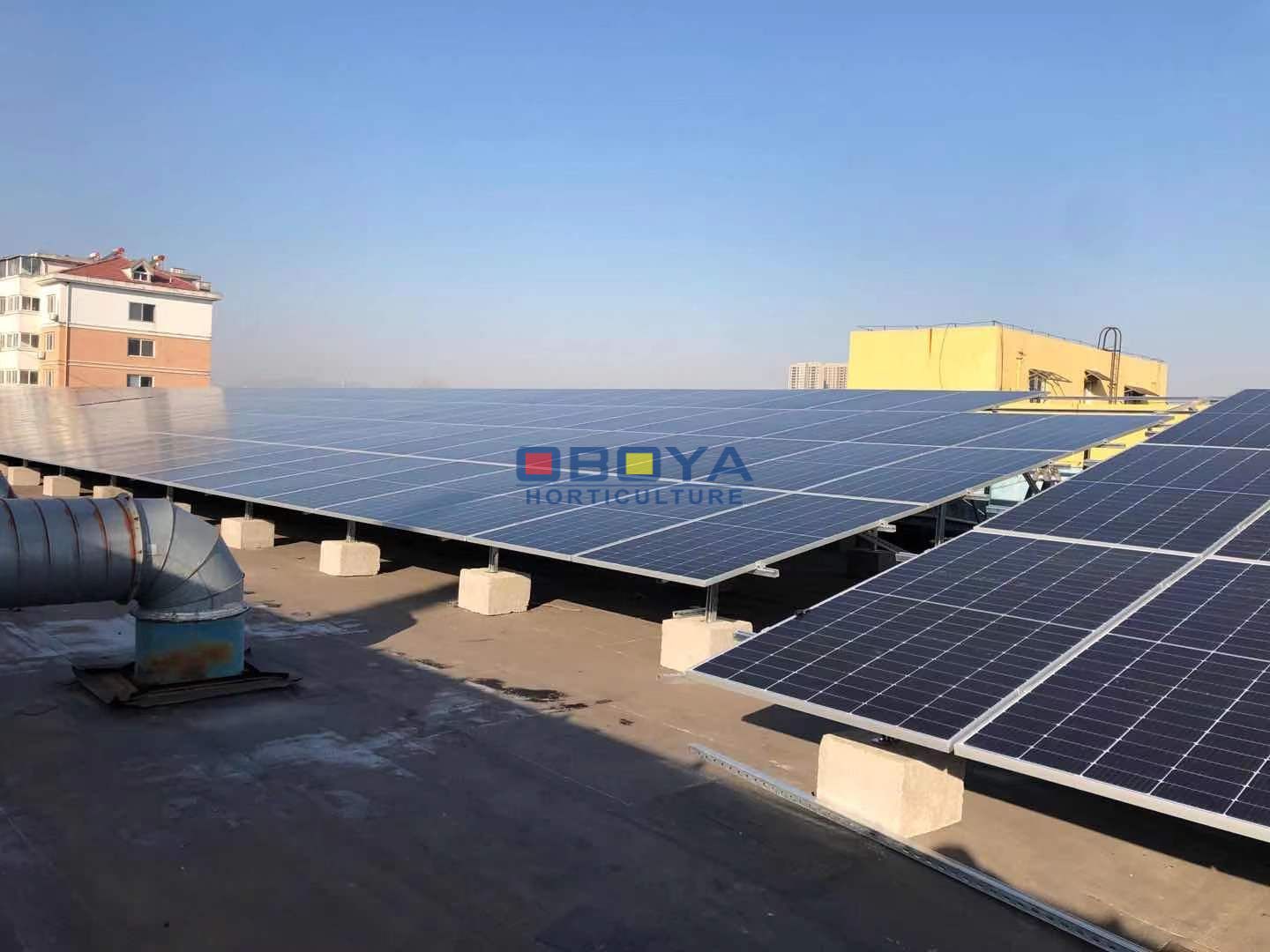 We at Oboya Horticulture are investing in solar energy power plants!(图3)